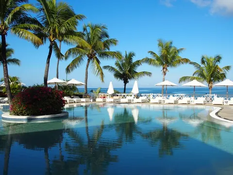 Resort swimming pool surrounded by palm trees