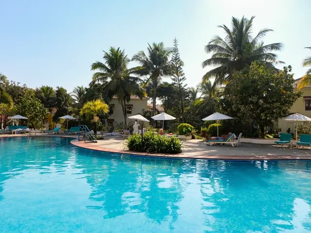 Resort hotel pool surrounded by palm trees